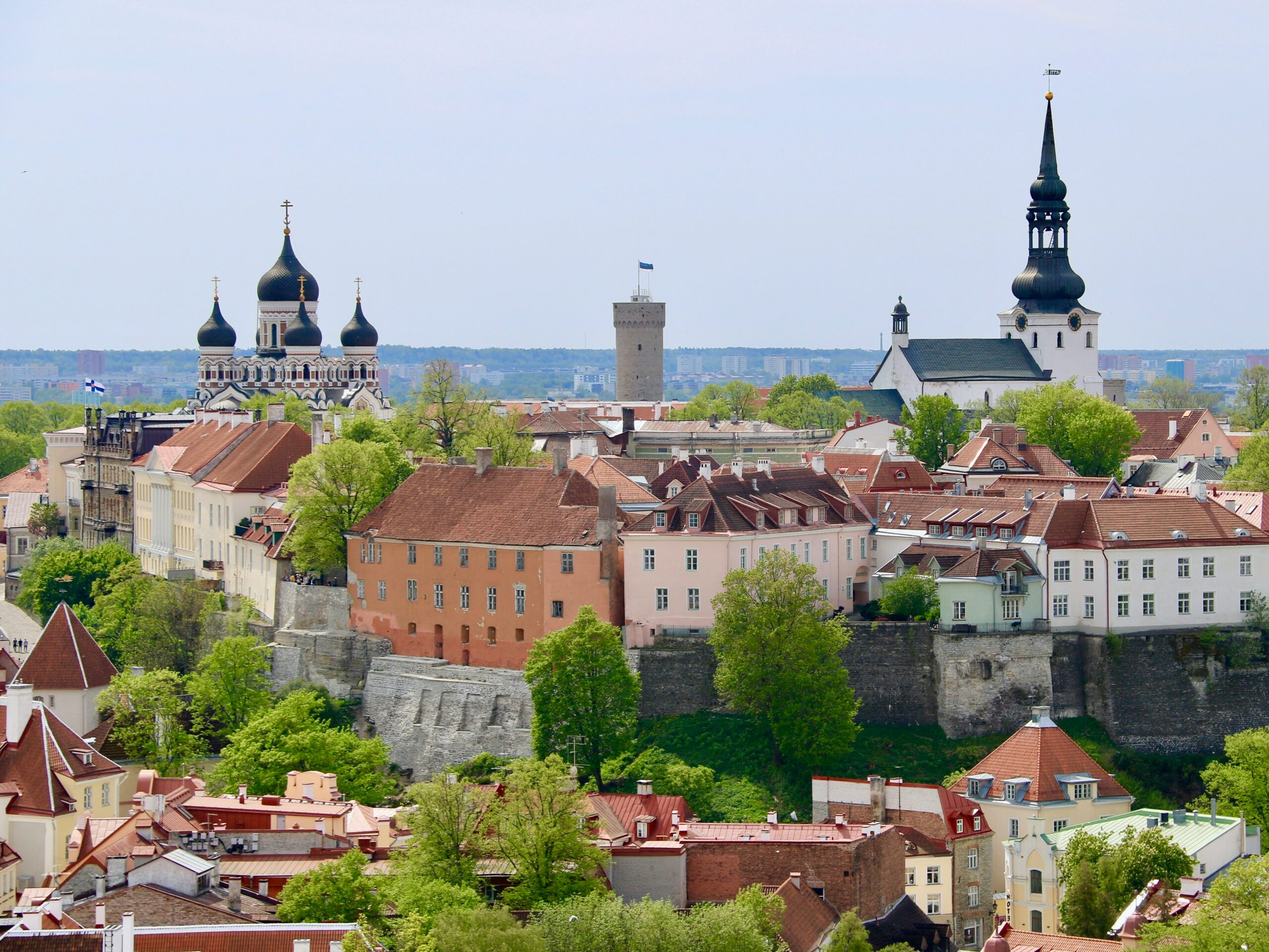 setting up a company in Estonia